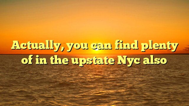 Actually, you can find plenty of in the upstate Nyc also