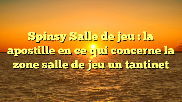 Spinsy Salle de jeu : la apostille en ce qui concerne la zone salle de jeu un tantinet