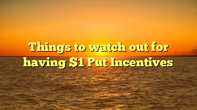 Things to watch out for having $1 Put Incentives